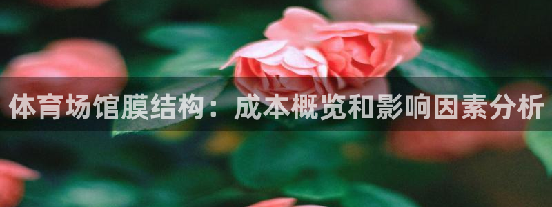 意昂体育3