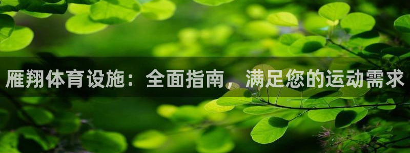 意昂体育3招商电话：雁翔体育设施：全面指南，满足您的