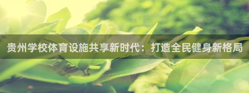 意昂3新能源：贵州学校体育设施共享新时代：打造全民健
