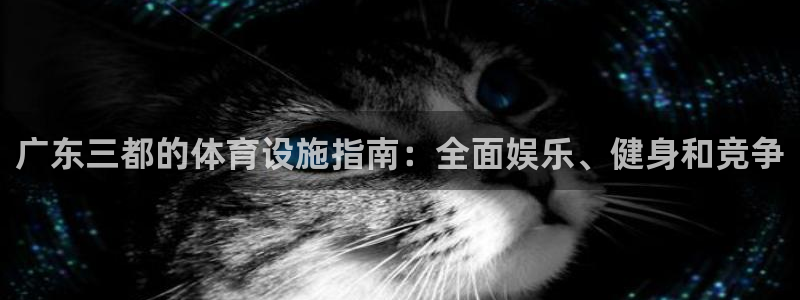 意昂体育3官方客服电话：广东三都的体育设施指南：全面娱乐、健