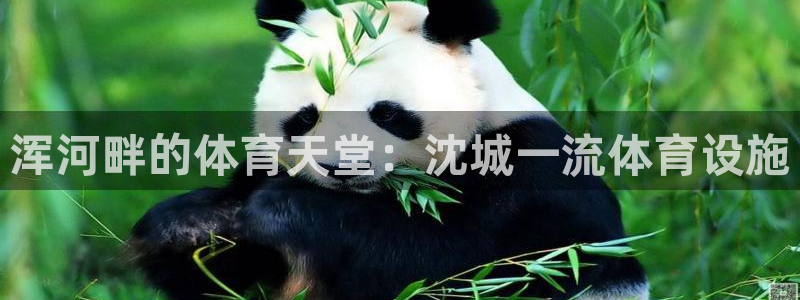 意昂3新能源：浑河畔的体育天堂：沈城一流体育设施