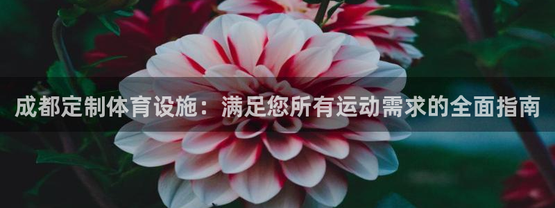 意昂3娱乐代理怎么样：成都定制体育设施：满足您所有运