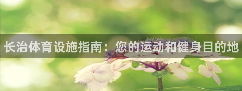 海南意昂体育3发展怎么样