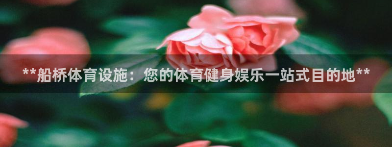 意昂体育3招商电话：**船桥体育设施：您的体育健身娱乐一站式