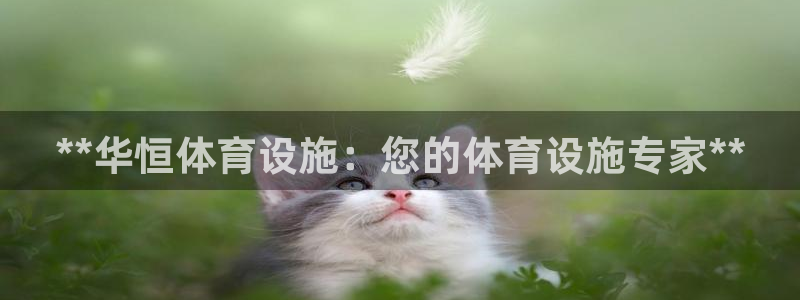 意昂体育3招商电话是多少：**华恒体育设施：您的体育