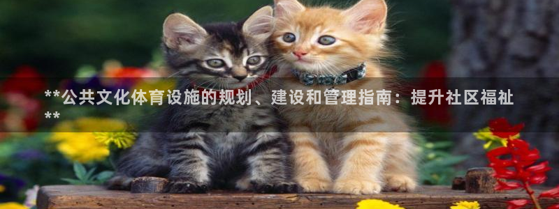 意昂体育3联系电话：**公共文化体育设施的规划、建设