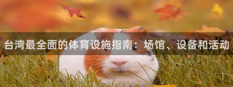 意昂体育3平台是正规平台吗安全吗：台湾最全面的体育设