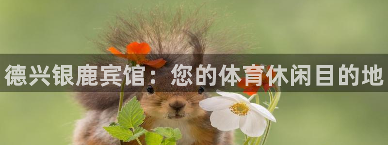 意昂体育3平台假的吗是真的吗吗：德兴银鹿宾馆：您的体