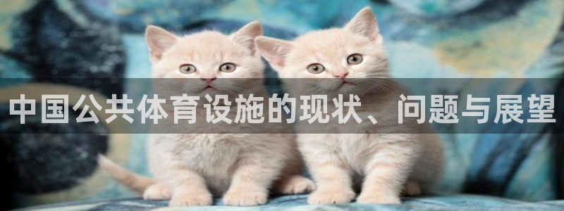 意昂3娱乐首页网站大全：中国公共体育设施的现状、问题