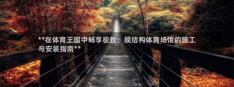 意昂体育3招商电话号码：**在体育王国中畅享极致：膜结构体育