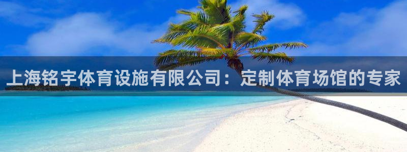 意昂3集团E.ON：上海铭宇体育设施有限公司：定制体育场馆的