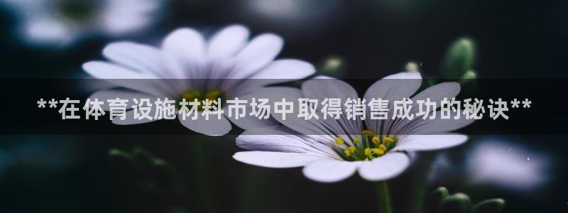 意昂体育3招商：**在体育设施材料市场中取得销售成功的秘诀*