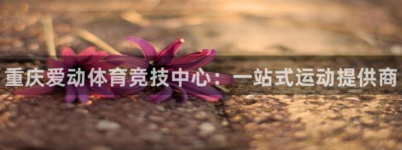 意昂体育3招商电话号码是多少