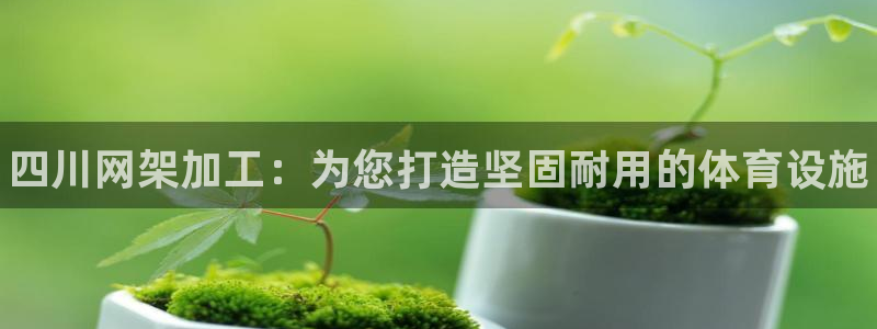 意昂体育3软件：四川网架加工：为您打造坚固耐用的体育