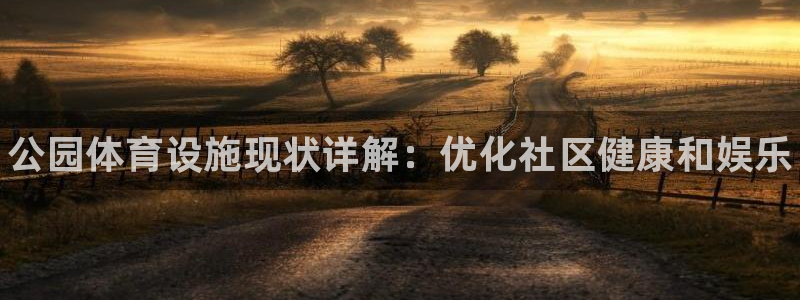 海南意昂体育3发展怎么样：公园体育设施现状详解：优化