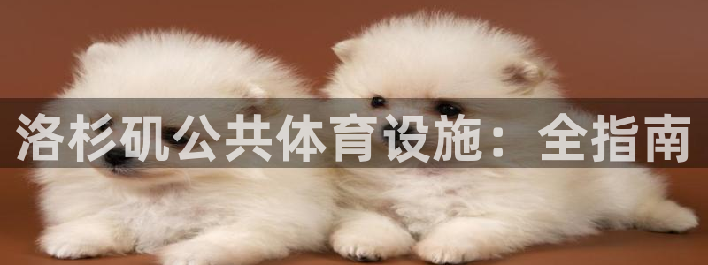 意昂体育3平台注册要钱吗安全吗：洛杉矶公共体育设施：全指南