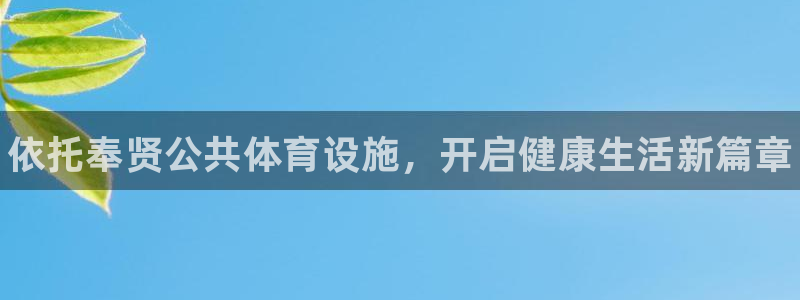 海南意昂体育3发展怎么样：依托奉贤公共体育设施，开启
