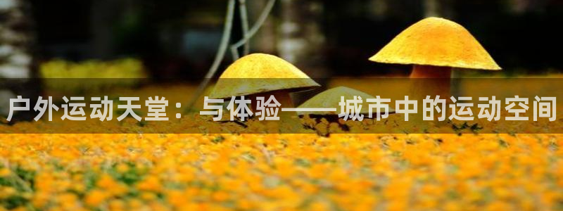 意昂体育3招商电话号码：户外运动天堂：与体验——城市