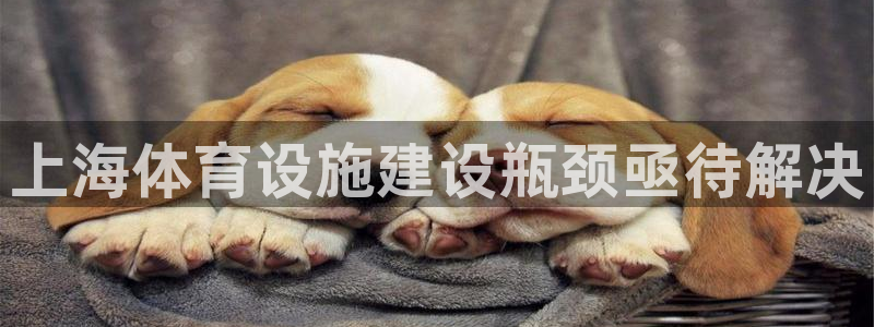 意昂体育3平台注册流程图：上海体育设施建设瓶颈亟待解