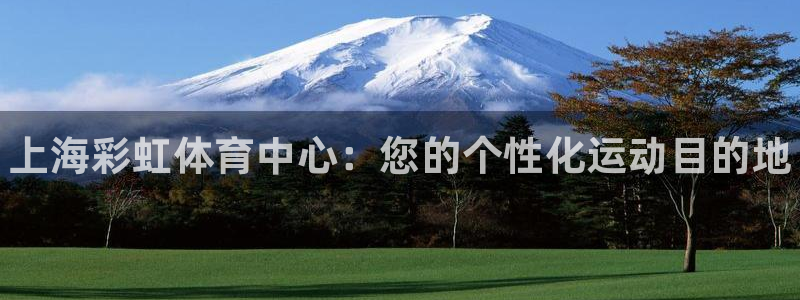 意昂体育3是干嘛的公司：上海彩虹体育中心：您的个性化