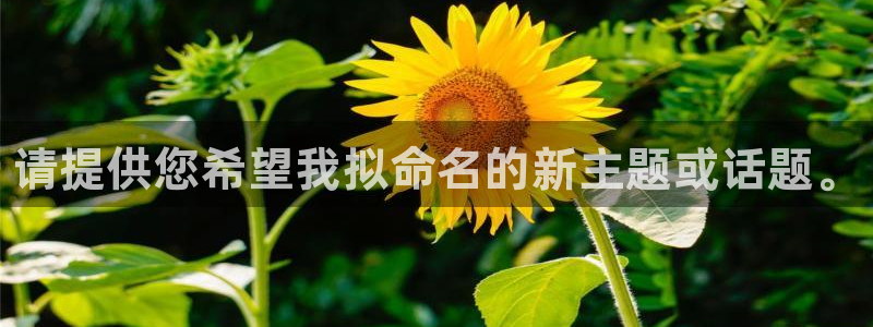 意昂3娱乐首页网站大全：请提供您希望我拟命名的新主题