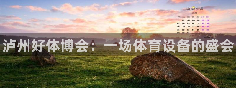德国意昂3集团：泸州好体博会：一场体育设备的盛会