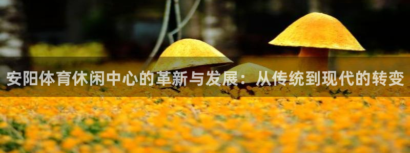 意昂3集团官网首页：安阳体育休闲中心的革新与发展：从