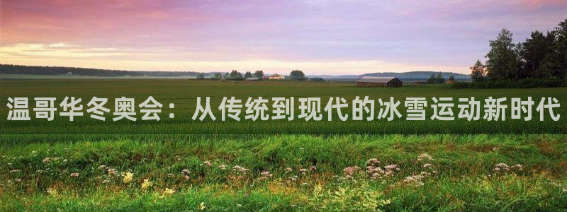 意昂3五金厂：温哥华冬奥会：从传统到现代的冰雪运动新