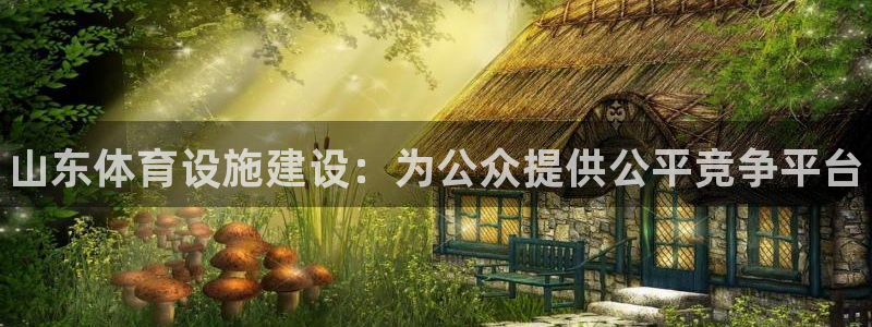 海南意昂体育3：山东体育设施建设：为公众提供公平竞争