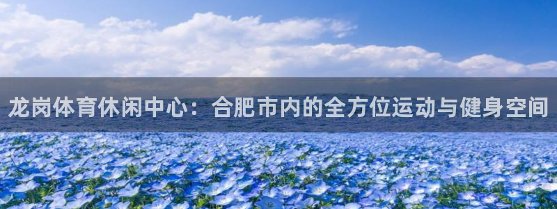 德国意昂3集团：龙岗体育休闲中心：合肥市内的全方位运动与健身