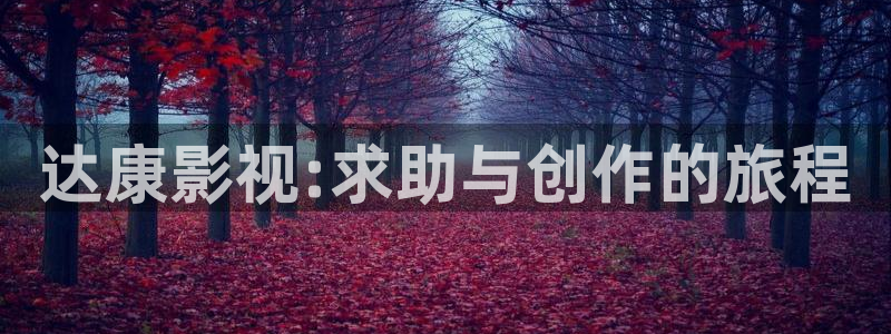驰策：达康影视:求助与创作的旅程