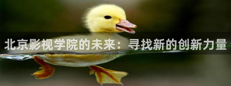 策驰策影院免费观看：北京影视学院的未来：寻找新的创新力量
