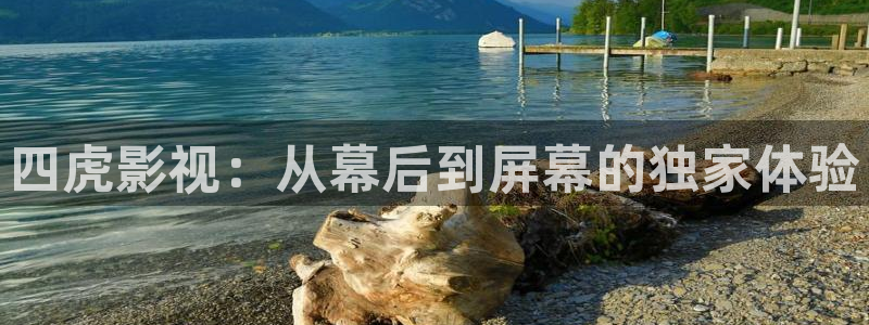 策驰策驰影院：四虎影视：从幕后到屏幕的独家体验