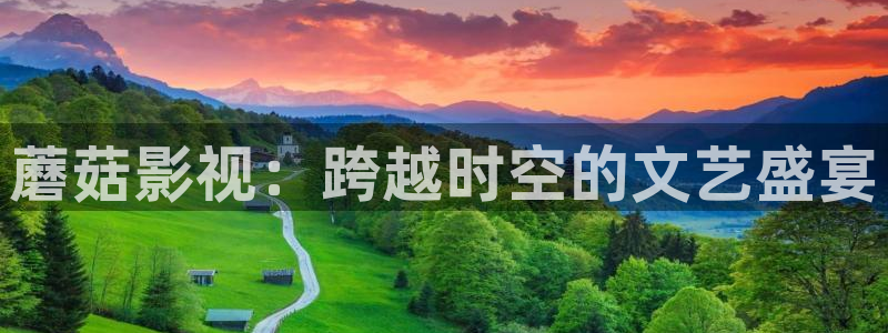驰策影视：蘑菇影视：跨越时空的文艺盛宴