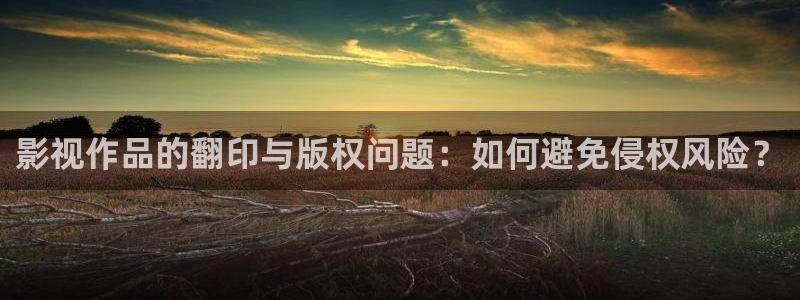 驰策影院在线电影：影视作品的翻印与版权问题：如何避免侵权风险？