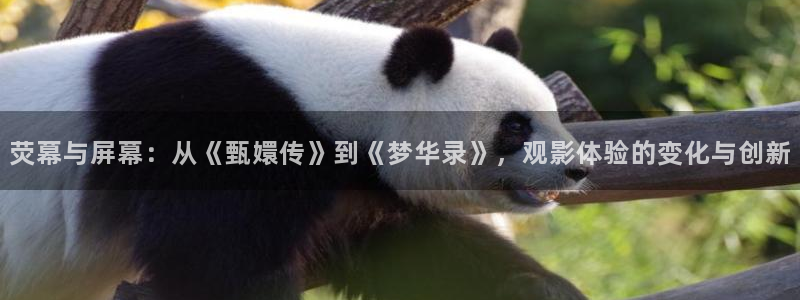 驰策影院2025：荧幕与屏幕：从《甄嬛传》到《梦华录》，观影体验的变化与创新