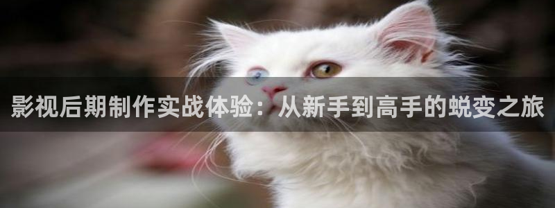 驰策影院在线看：影视后期制作实战体验：从新手到高手的蜕变之旅
