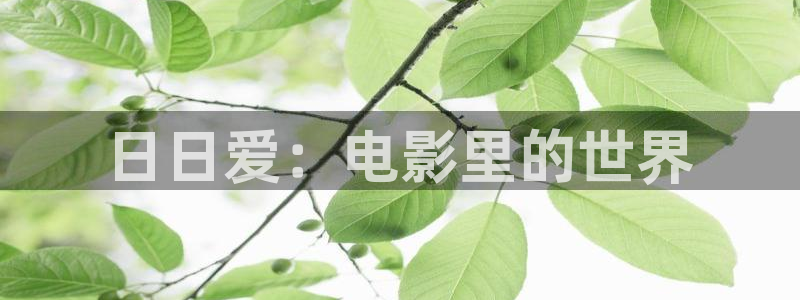 驰策影院：日日爱：电影里的世界